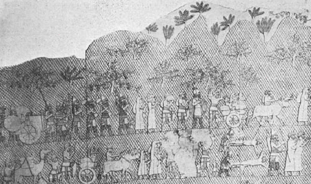 Episode Cover