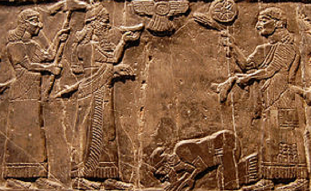 Episode Cover
