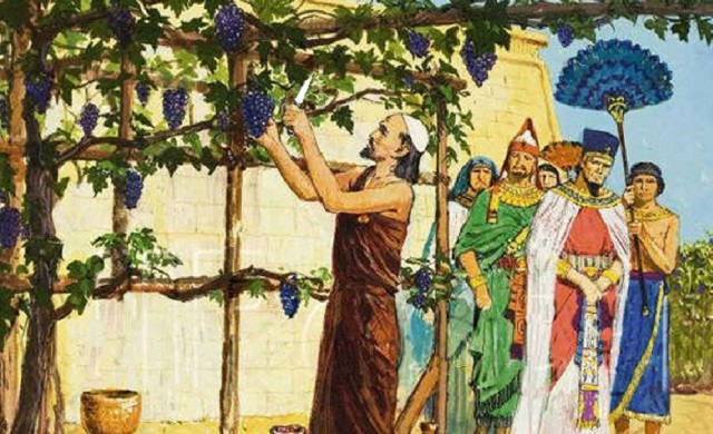 Episode Cover