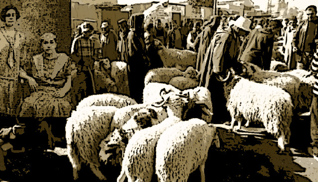 Episode Cover