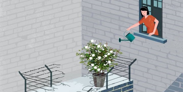 Episode Cover