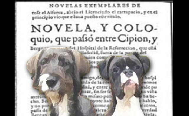 Episode Cover