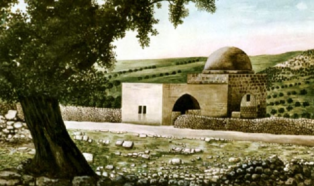 Episode Cover