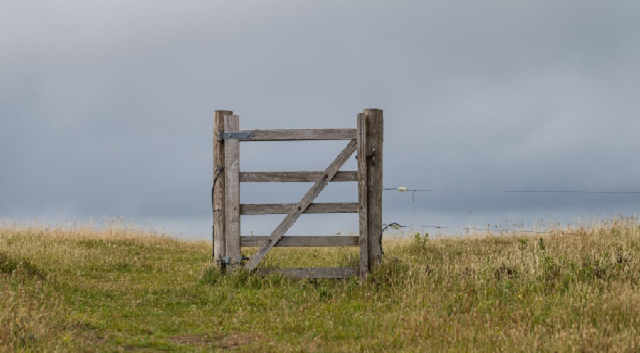 Episode Cover