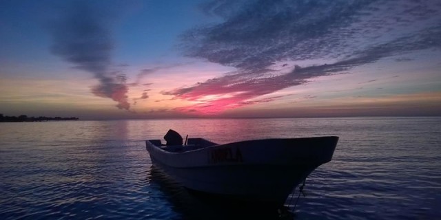 Episode Cover