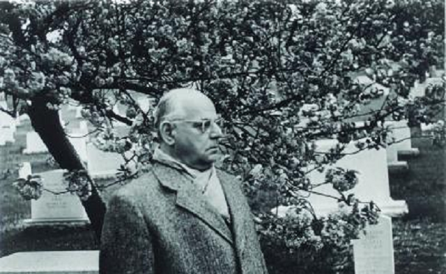 Episode Cover