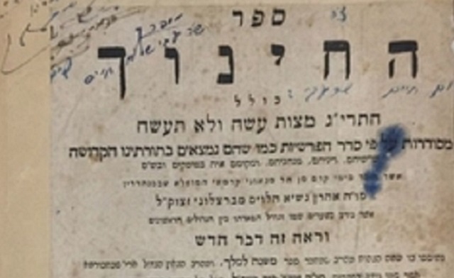 Episode Cover