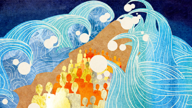 Episode Cover