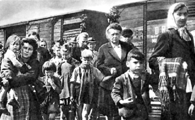 Episode Cover