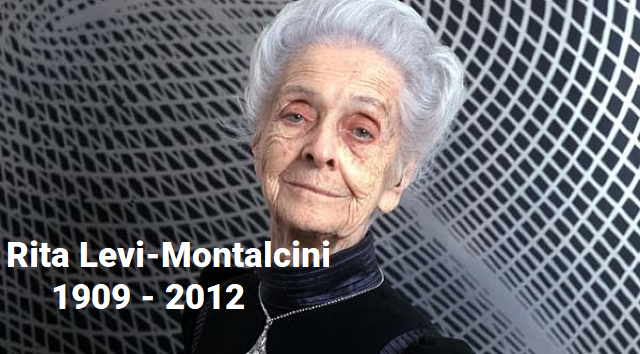 Rita Levi-Montalcini, Premio Nobel de Medicina