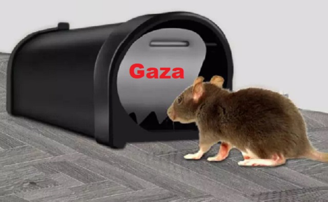 Gaza: la "trampa para ratones" de Israel, con Marcelo Kisilevsky