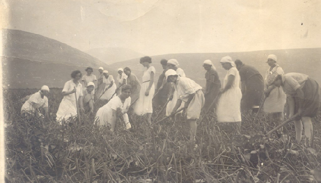 Episode Cover