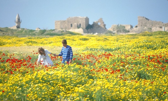 Aviv: el nombre de la primavera