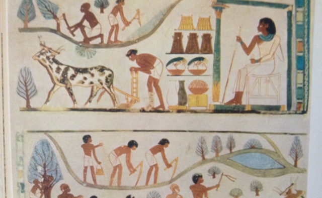 Episode Cover