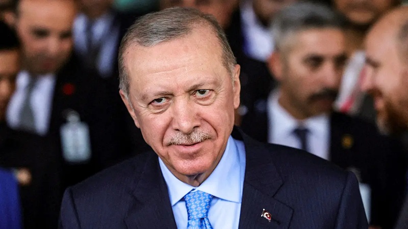Erdogan, dictadura y sultanato
