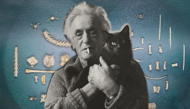 Episode Cover