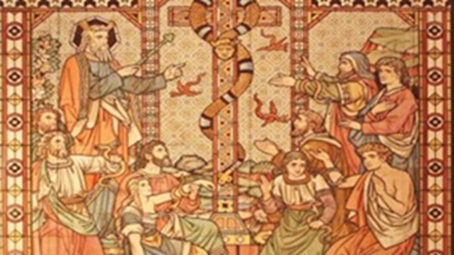 Episode Cover