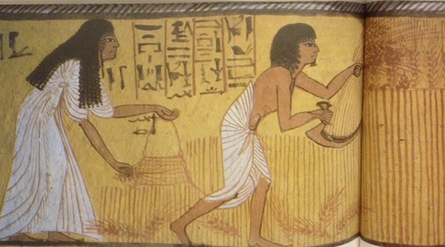 Ruth (2ª parte): modelo de amabilidad, fidelidad, luchadora a favor de los suyos, llega al campo de Booz en Belén