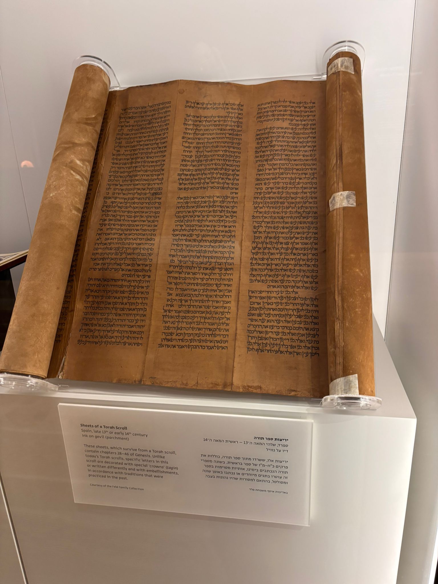Un rollo del "Génesis" del siglo XIII o XIV en el Museo ANU