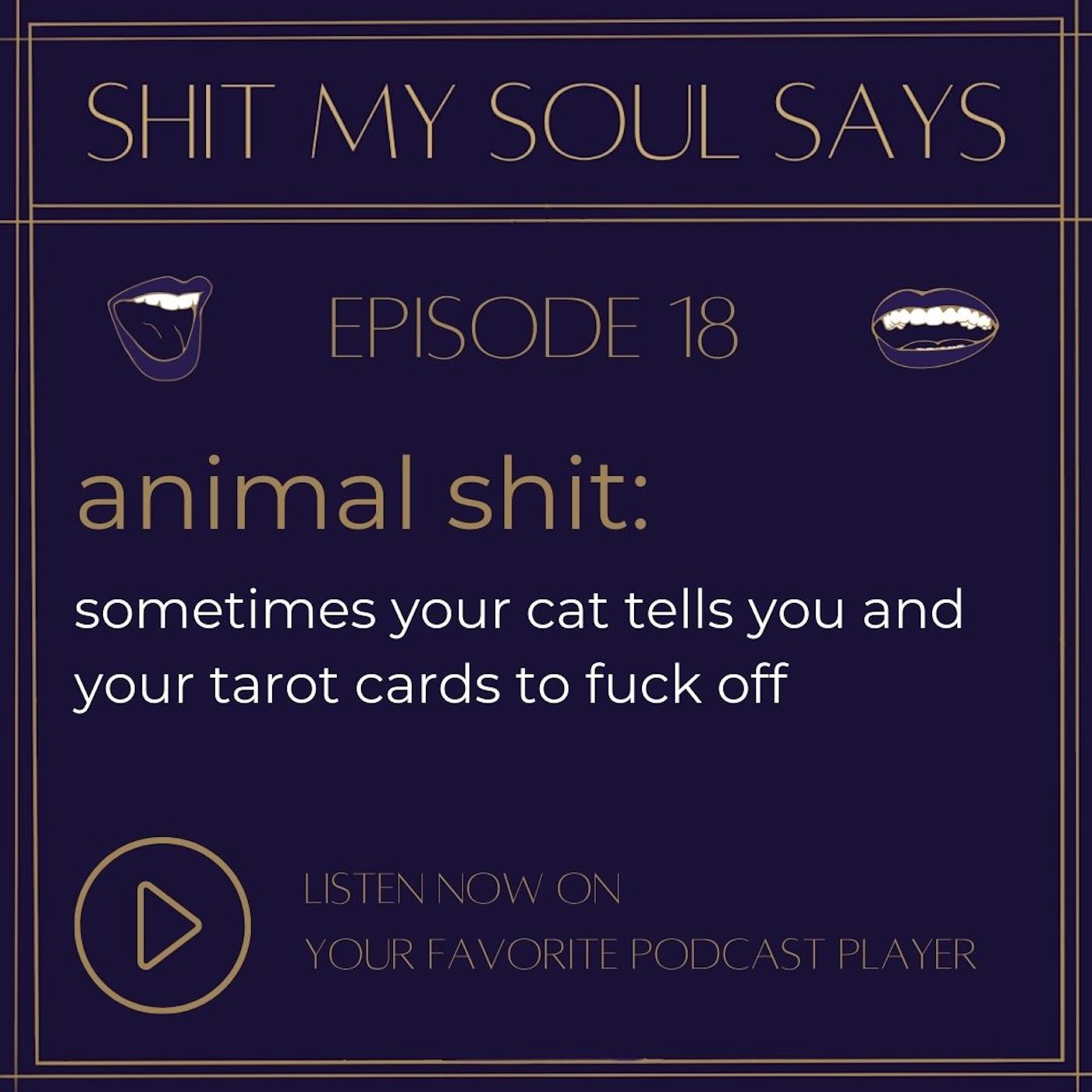 animal shit: sometimes your cat tells you and your tarot cards to fuck off