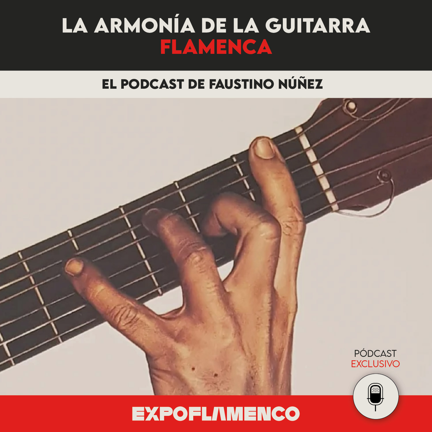 Episodio 7 - La armonía de la guitarra flamenca