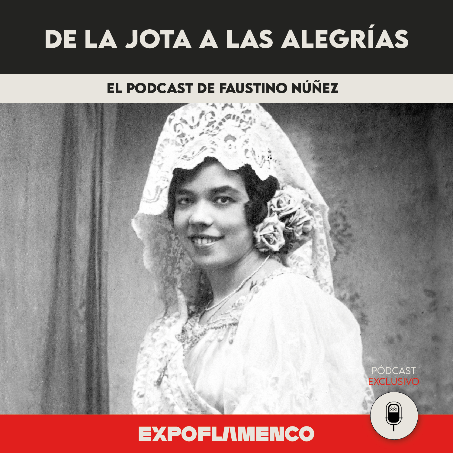 Episodio 9 - De la jota a las alegrías