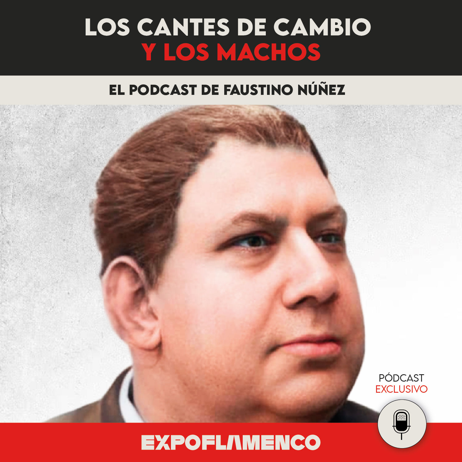 Episodio 12 - Los cantes de cambio y los machos