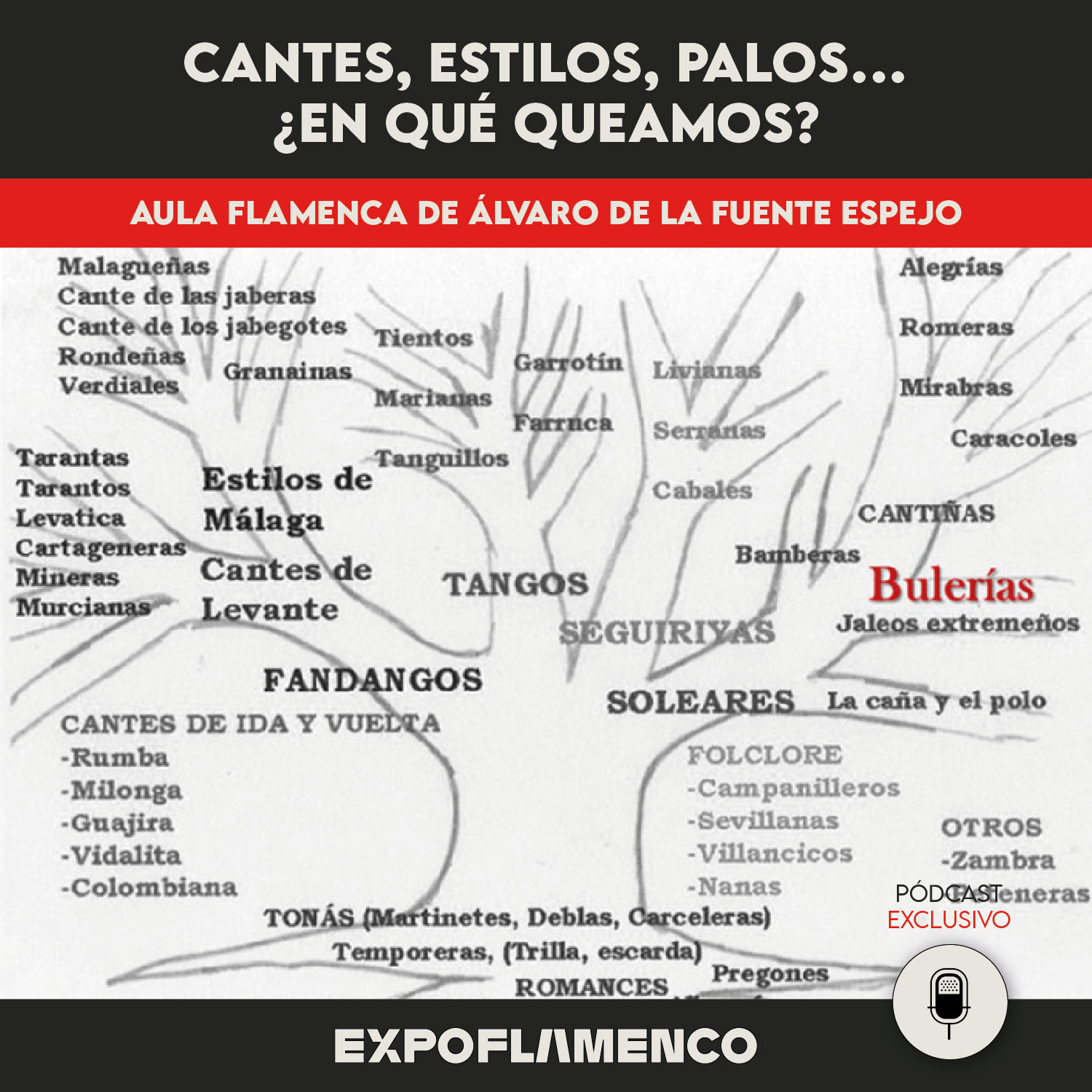 Cantes, estilos, palos...¿En qué queamos?