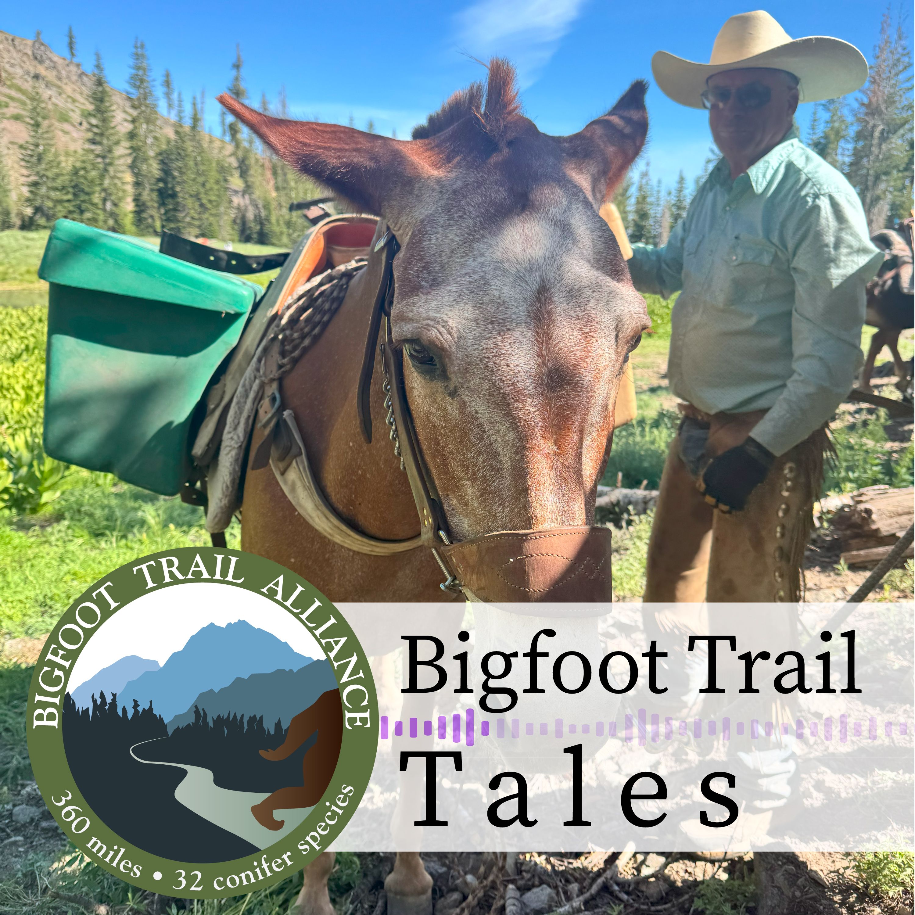 
                    Ken Graves and the Heart of Backcountry Trail Work
                