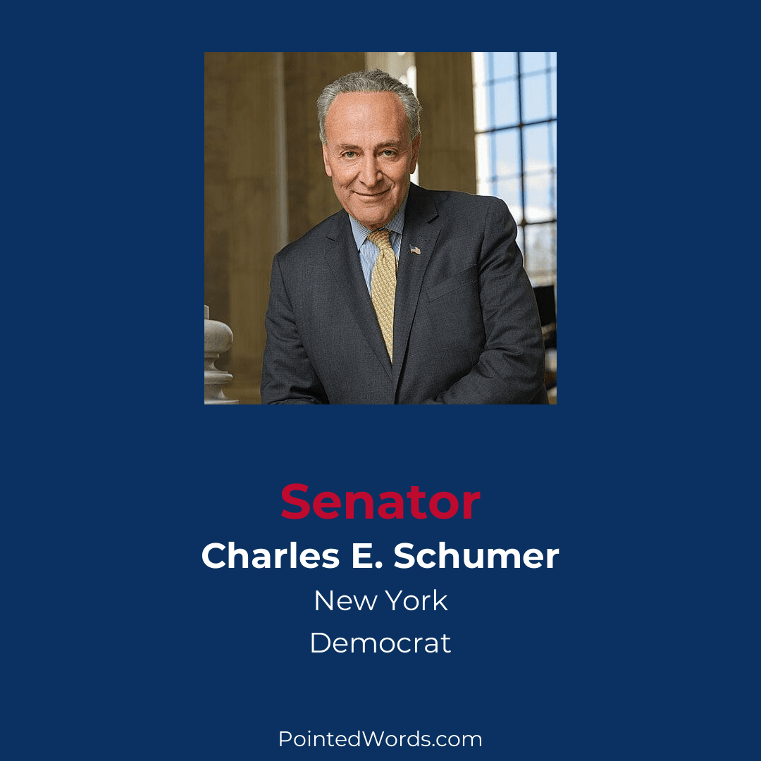 Profile of Democrat Senator Schumer from New York