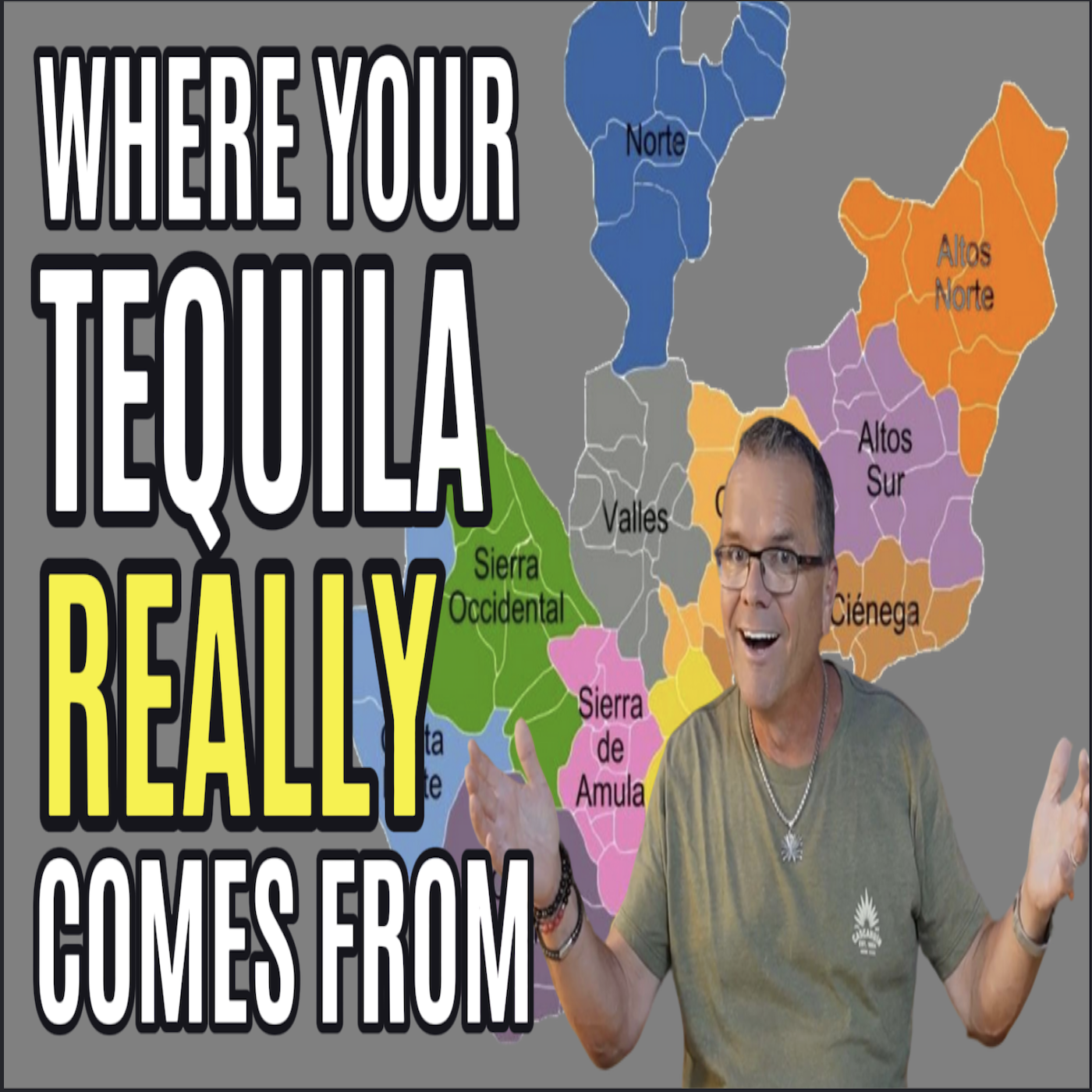 Discover Where Your Tequila Really Comes From!  The Regions of Jalisco Explained