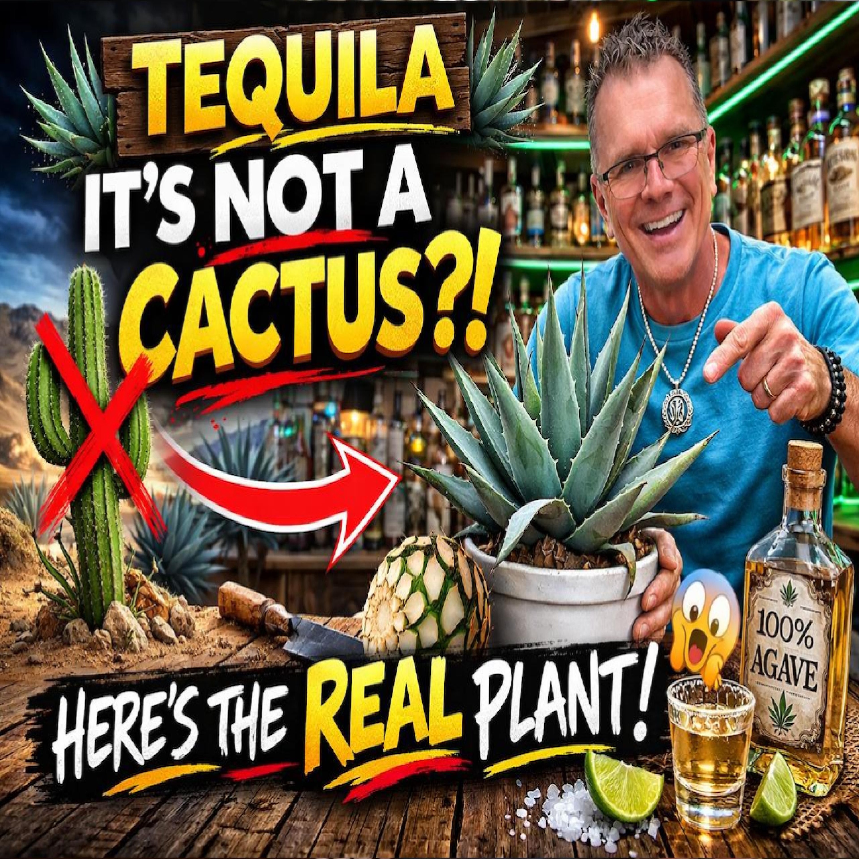 Tequila Isn't Made From Cactus