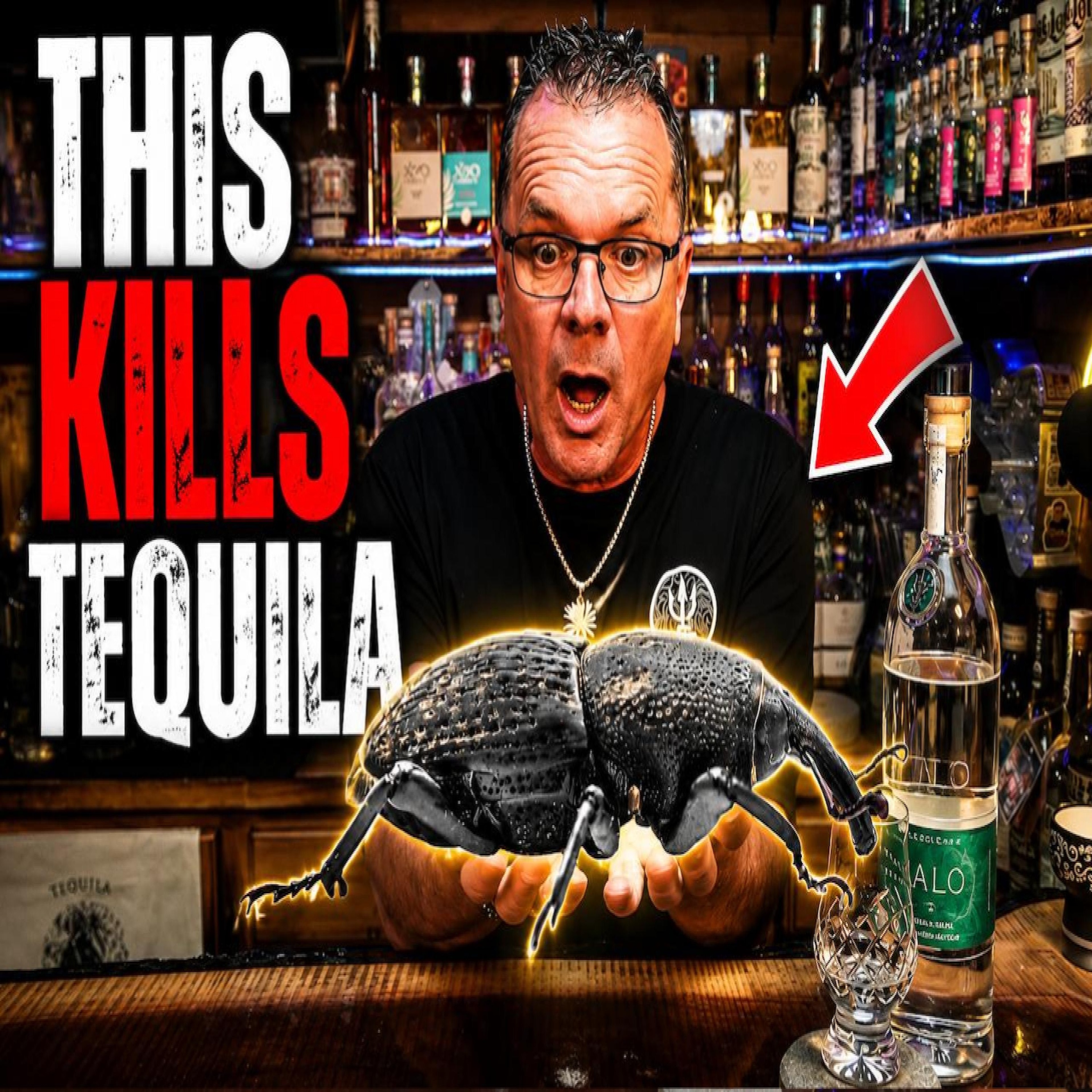This Tiny Bug Is Destroying Tequila Fields (And Most People Don’t Know It)