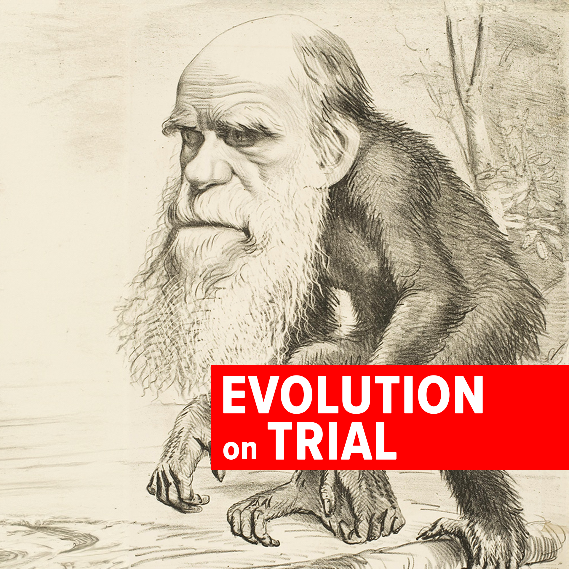 [Interview] Scopes Trial Breakdown: Bible, Evolution, and a Public Spectacle with Josh Swamidass & James Tour