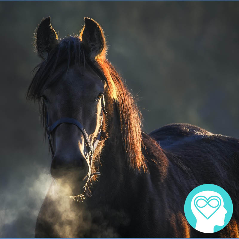 5 Ways to run with Fire Horse in Chinese New Year 2026