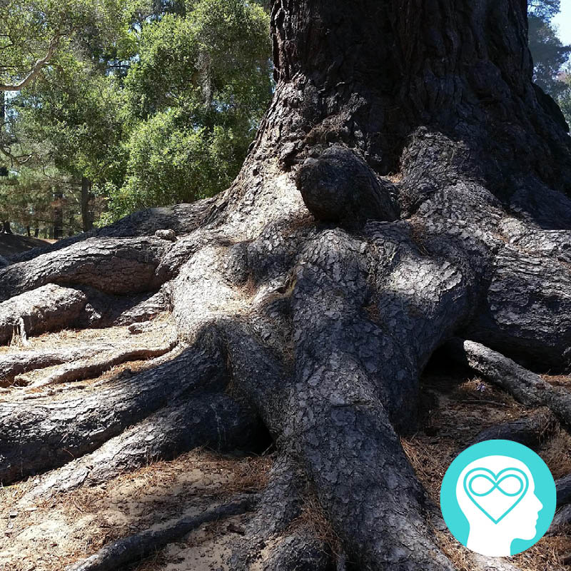 5 Whys being grounded won't cramp your style