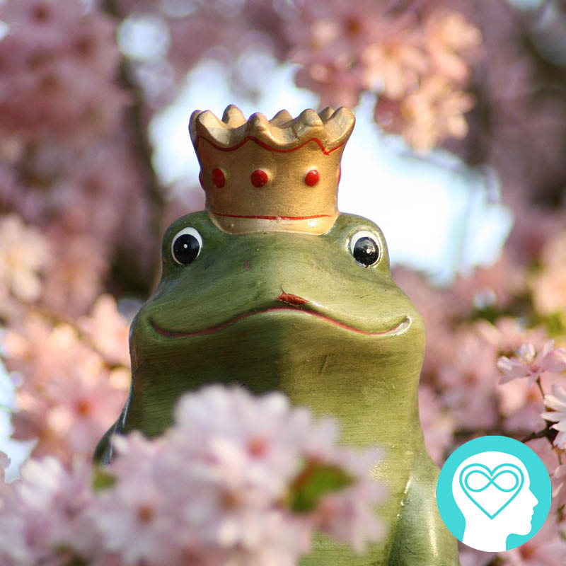 5 Ways the 'Frogs' help you find your Prince