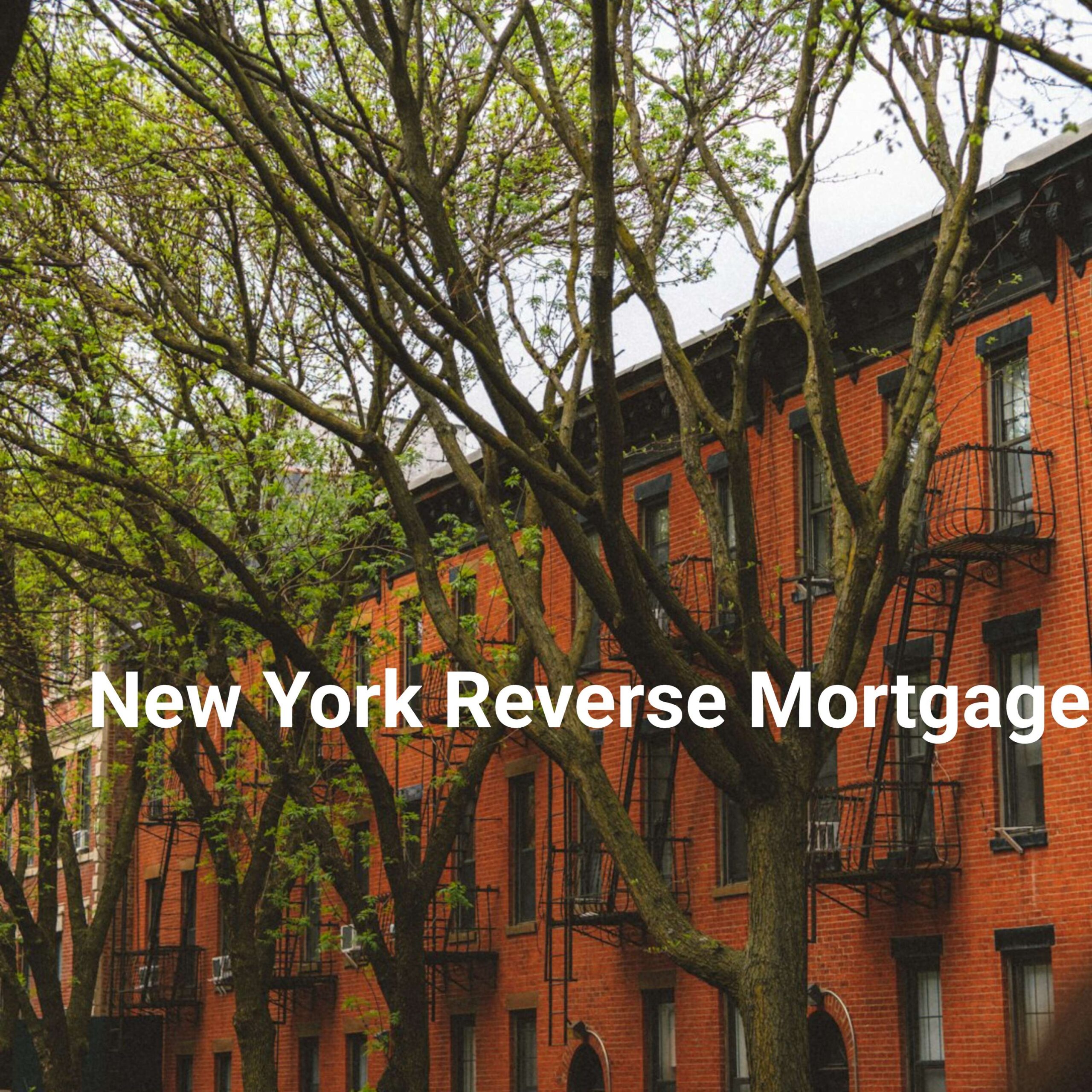 New York Reverse Mortgage