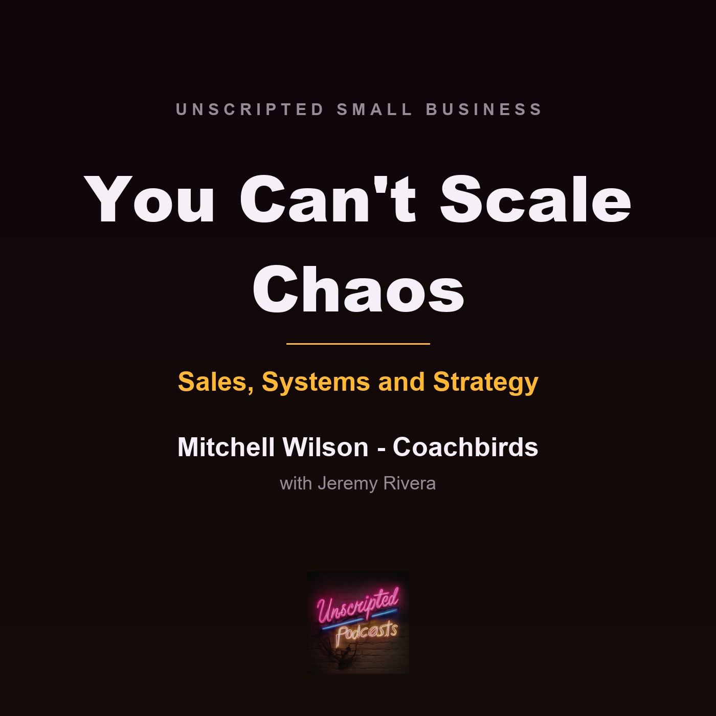 You Can't Scale Chaos - Mitchell Wilson, Coachbirds