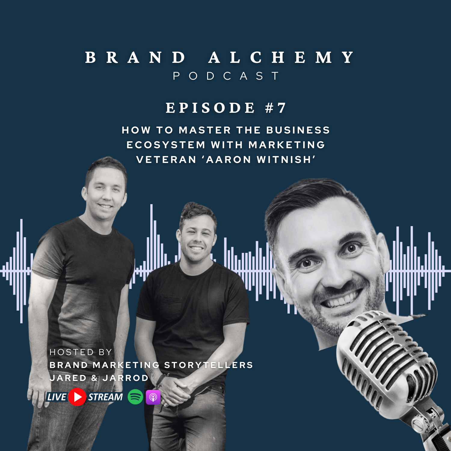 Episode #7: How to Master the Business Ecosystem With Marketing Veteran ‘Aaron Witnish’