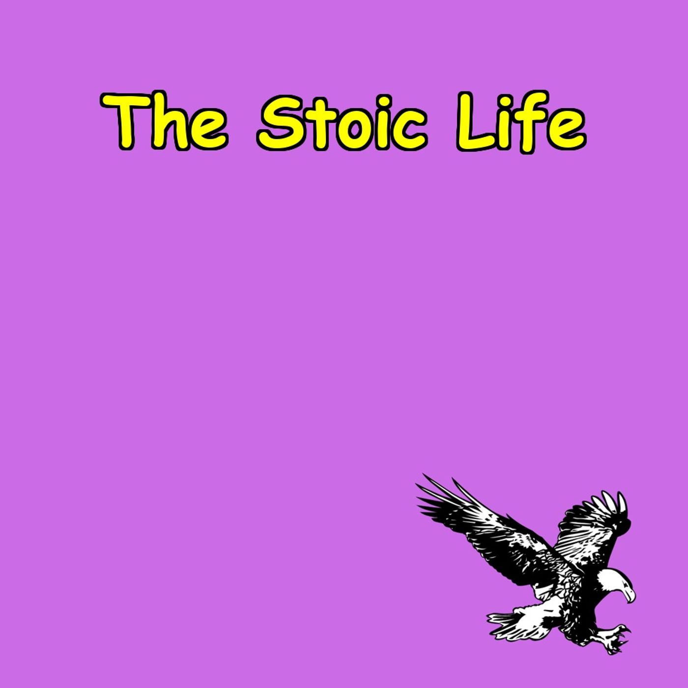 Morning Routines for Mental Clarity:. Stoic Life Guide