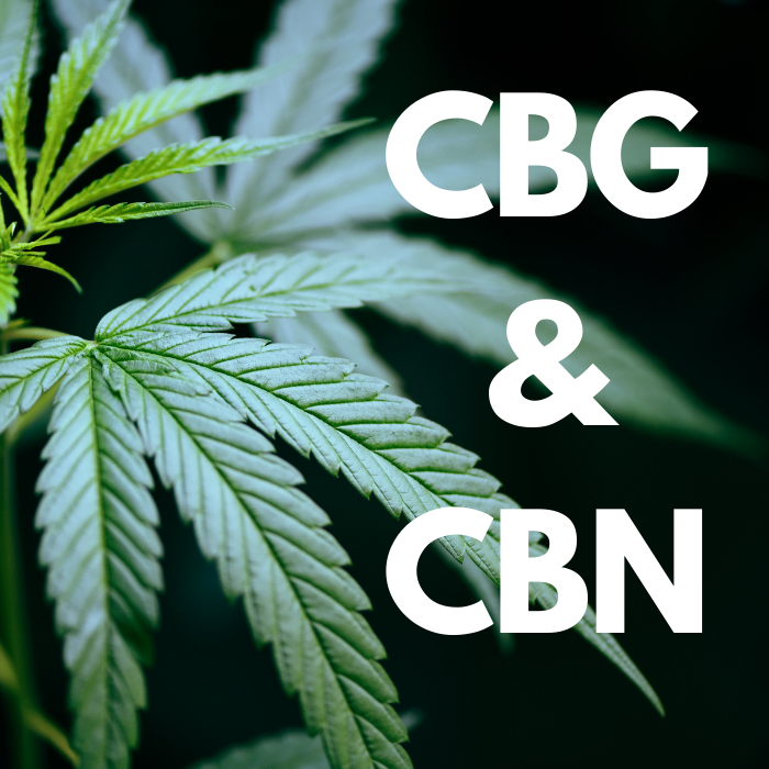 New cannabinoids trending, CBG and CBN. What do they do?