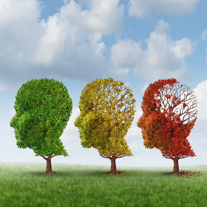 CBD and Dementia