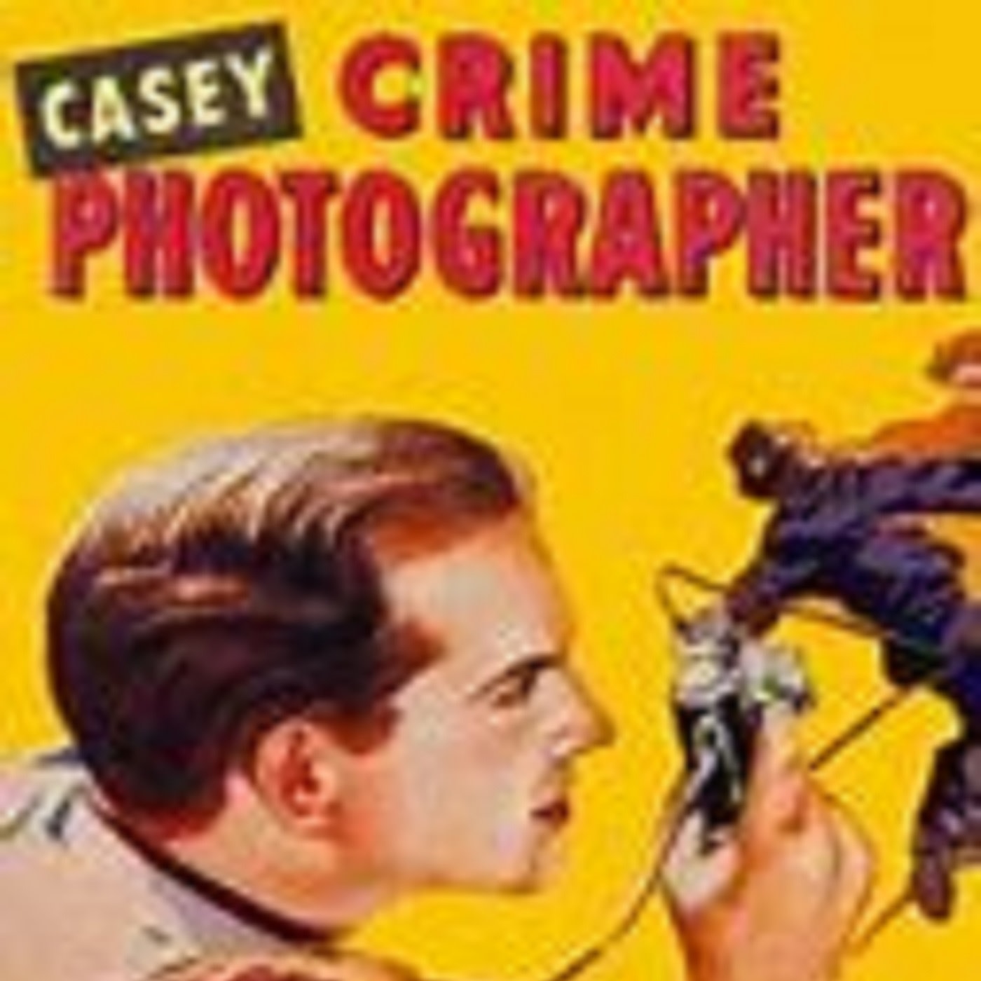 Casey49-11-17315TheUpholsterer