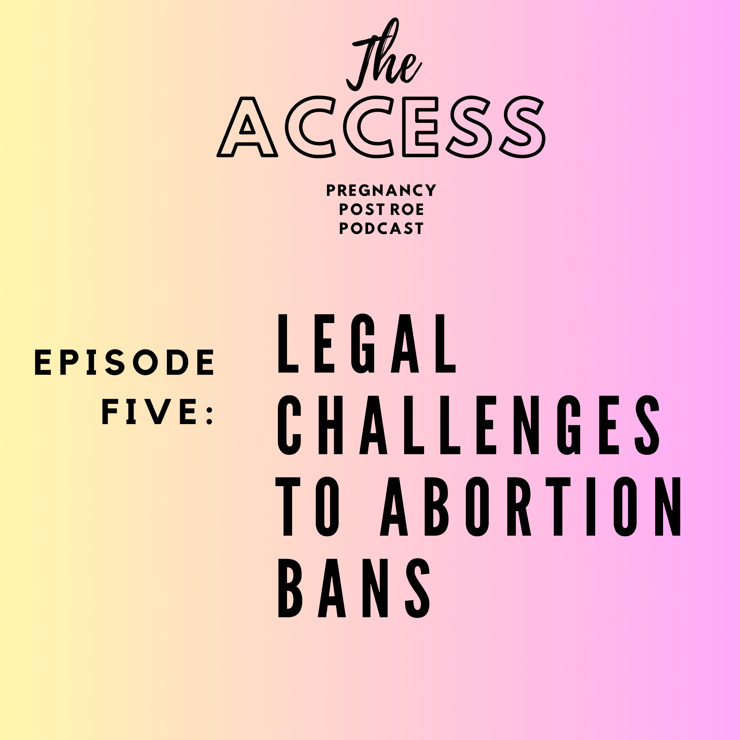 Legal Challenges to Abortion Bans