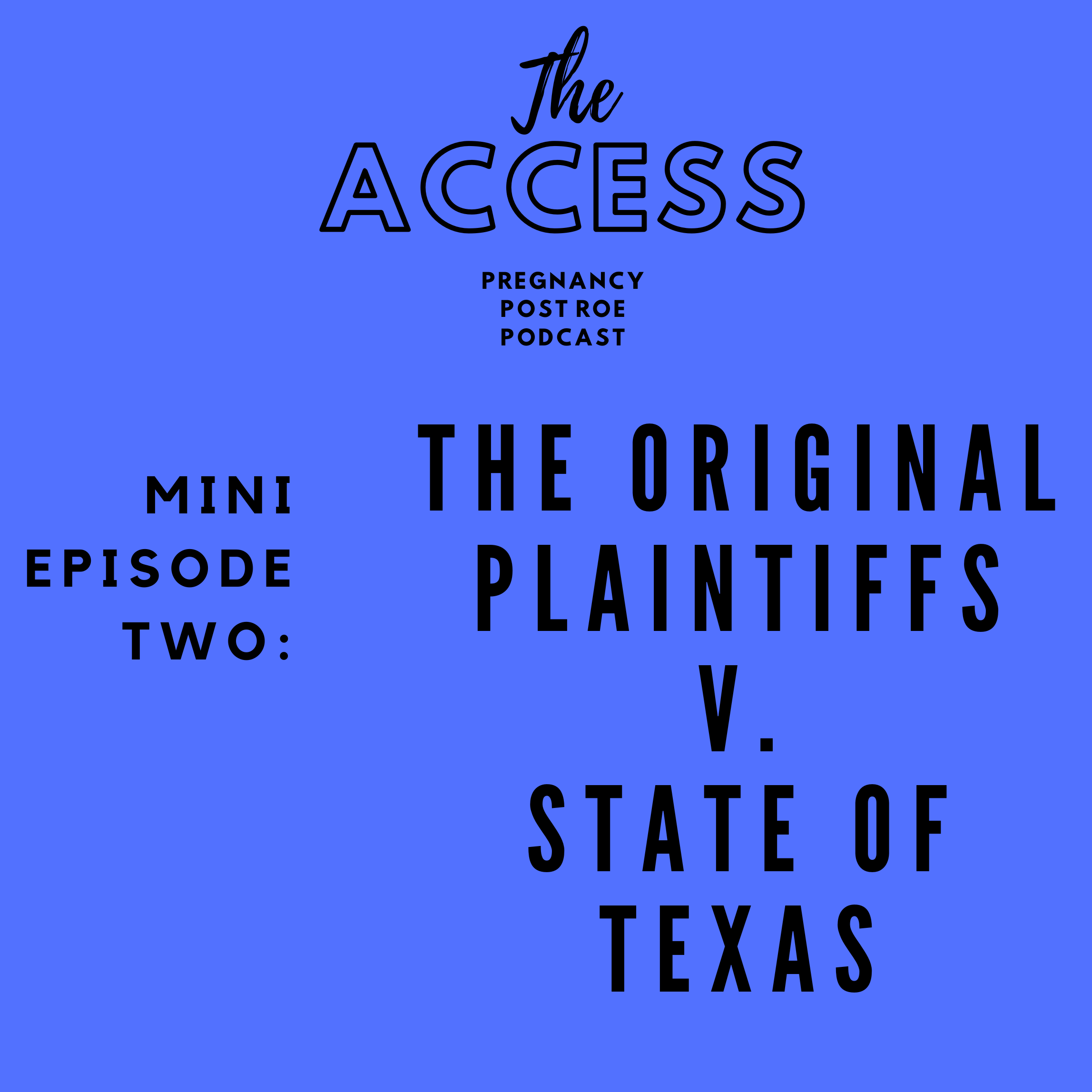 The Original Plaintiffs v. State of Texas