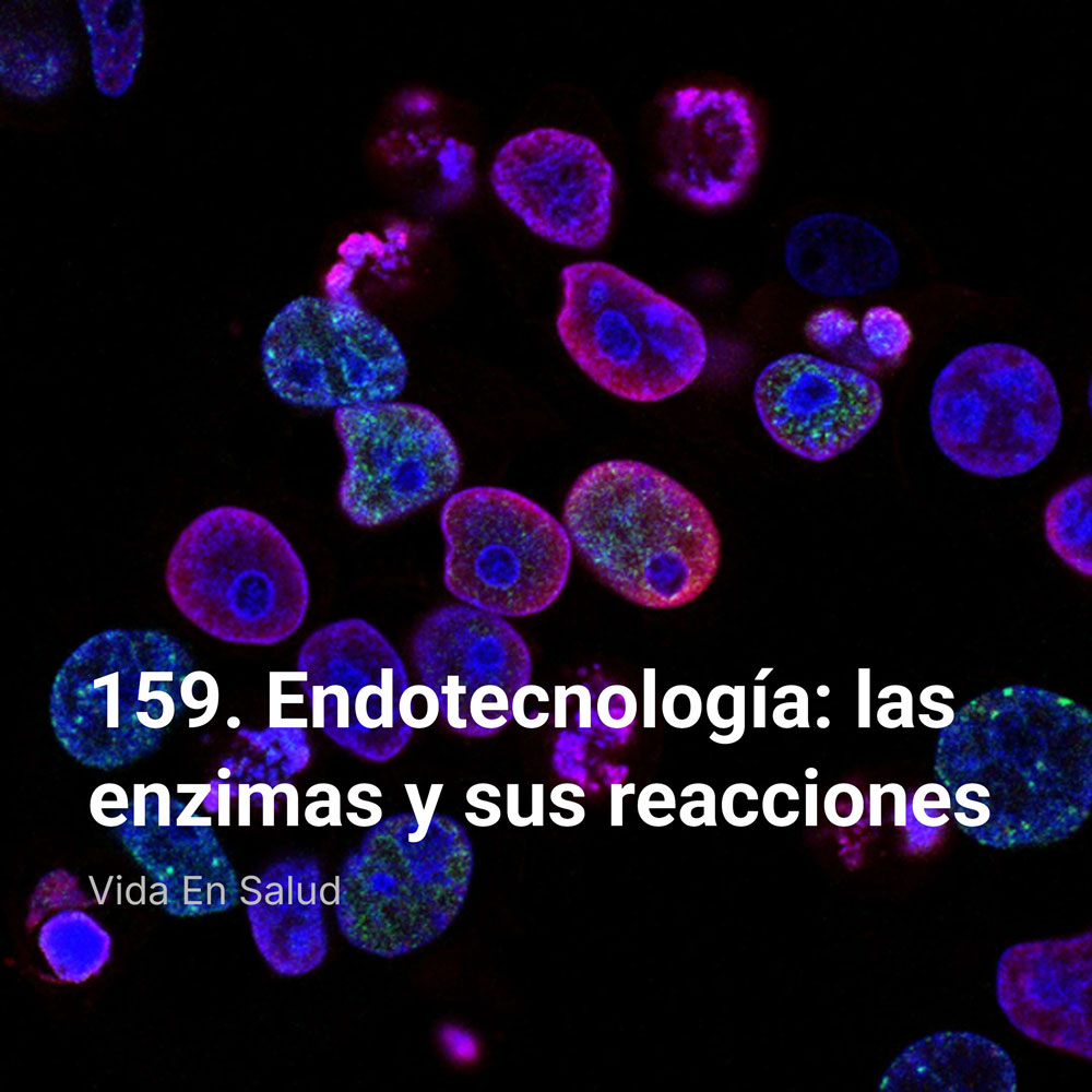 159. Endotecnología: las enzimas y sus reacciones