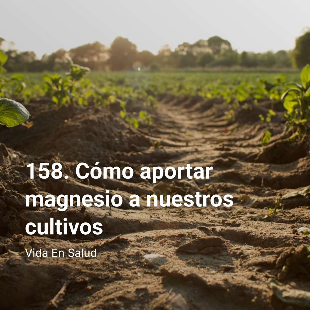 158. Cómo aportar magnesio a nuestros cultivos