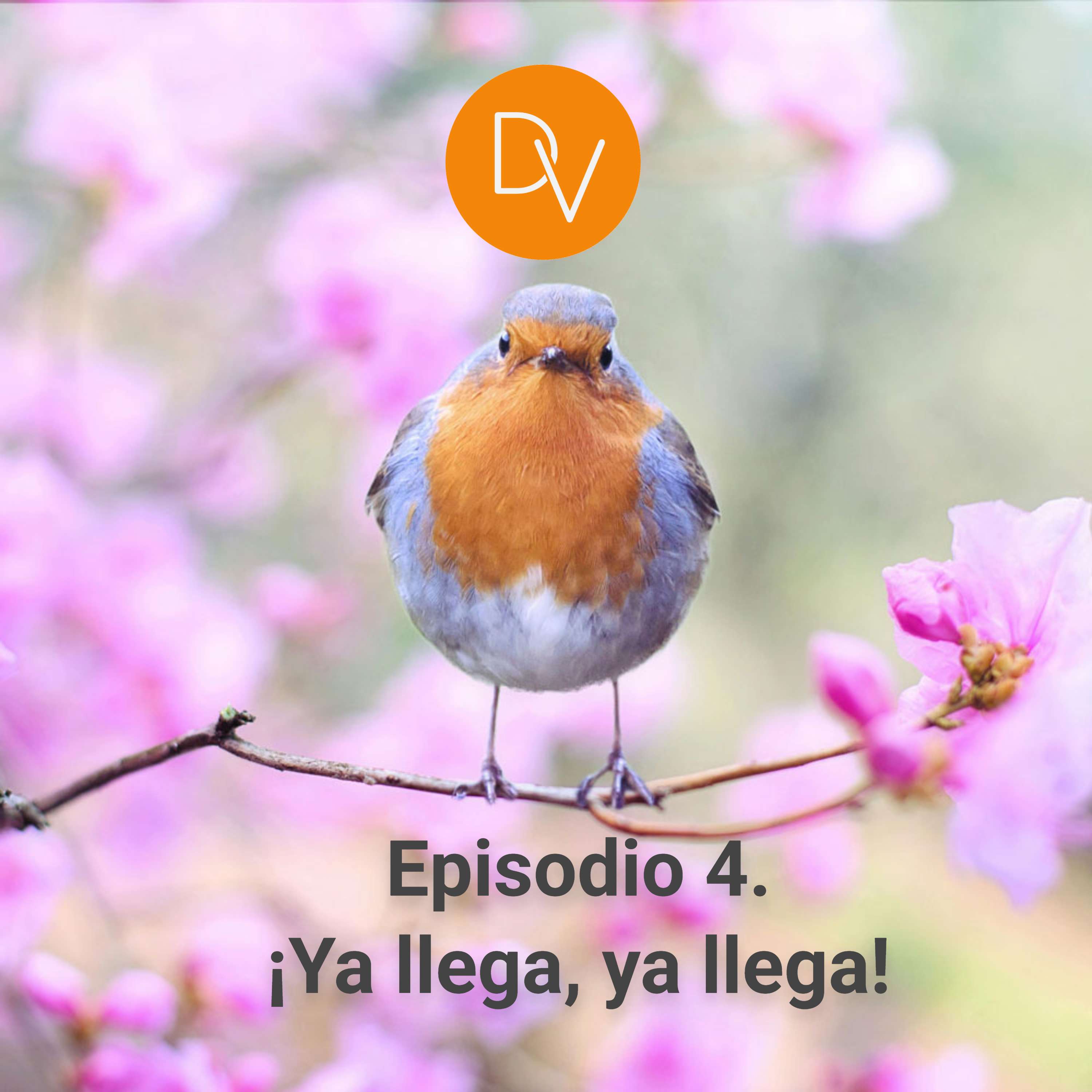 4. ¡Ya llega, ya llega!