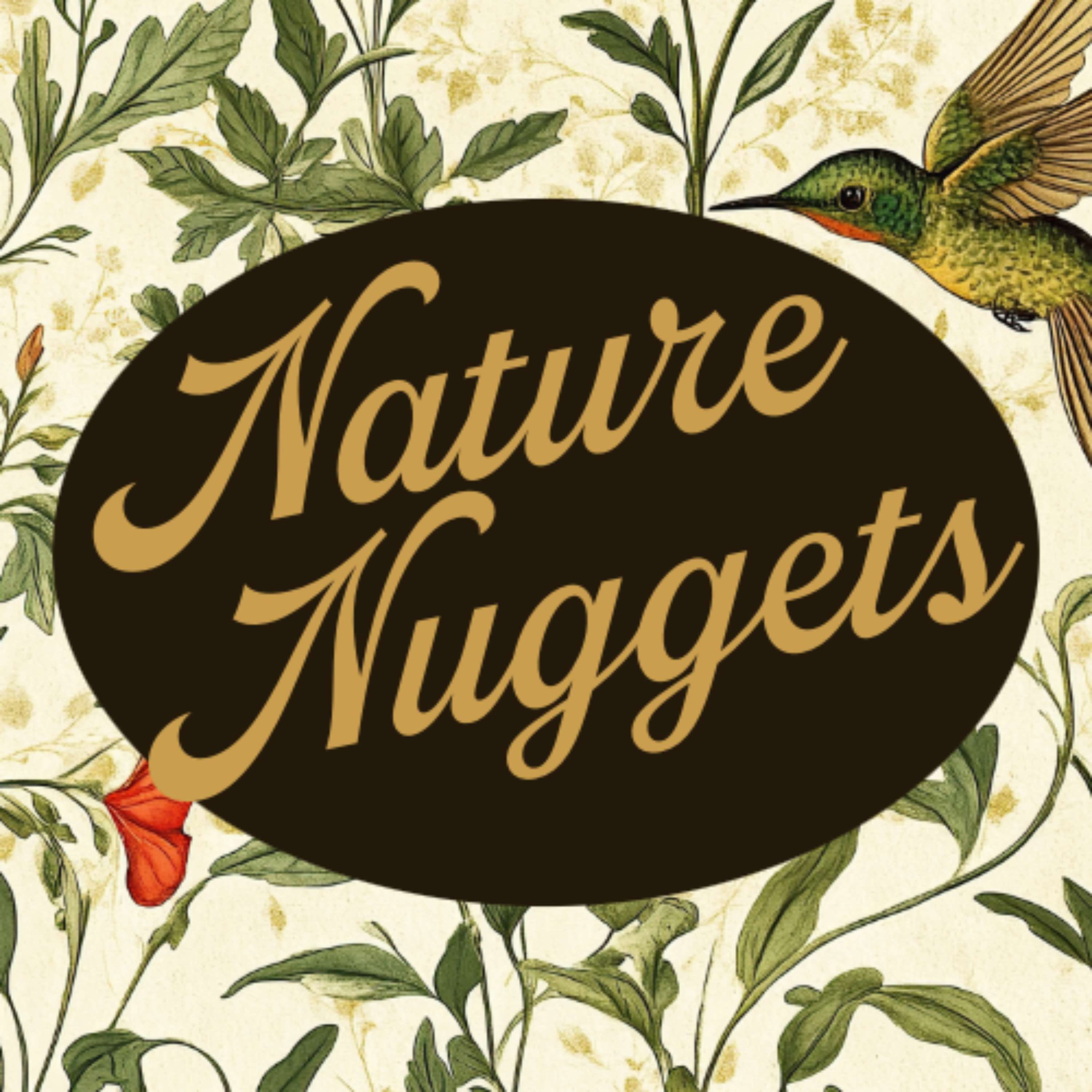 Nature Nuggets